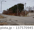 春の十字路交差点 137570945