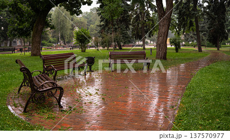 Empty Benches in City Park After Rain 137570977