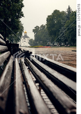 Wet Wooden Bench After Rain in City Park 137570978