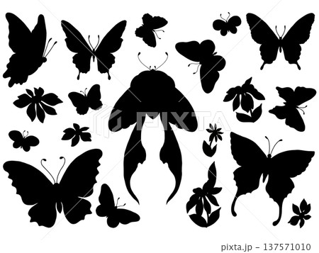 set of different types of butterflies 137571010