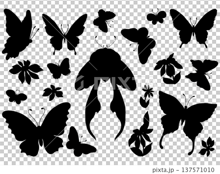set of different types of butterflies 137571010