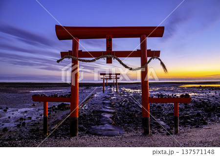 有明海の神秘的な風景　大魚神社の海中鳥居　（佐賀県） 137571148