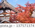 歴史的な寺院の建物と青空に映える紅葉 137571374