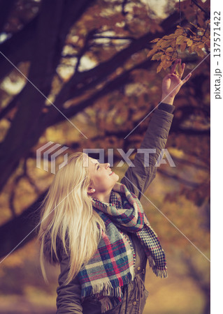 Woman walking in park, touching golden leafs Woman walking in park, touching golden leafs 137571422