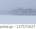 風雪に覆われた牧草地と林縁の樹木 137571627
