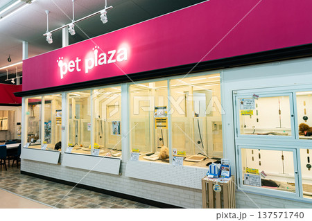 コーナンぐりーんうぉーく多摩店　pet plaza　犬　東京都八王子市別所 137571740