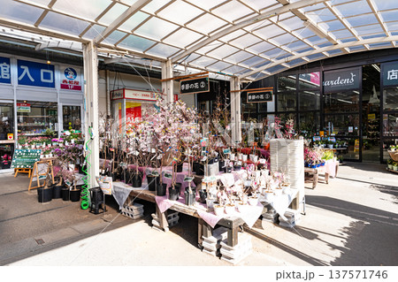 コーナンぐりーんうぉーく多摩店　季節の花　東京都八王子市別所 137571746