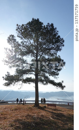 海の見える公園 137571759