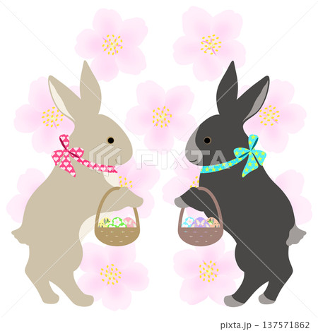 イースター_エッグハント中のウサギ 137571862
