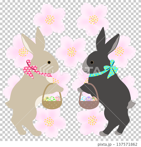 イースター_エッグハント中のウサギ 137571862
