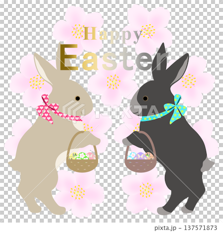 イースター_エッグハント中のウサギ 137571873