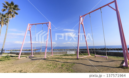 水仙ロードで有名な野比海岸の春 137571964