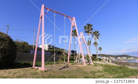 水仙ロードで有名な野比海岸の春 137571969