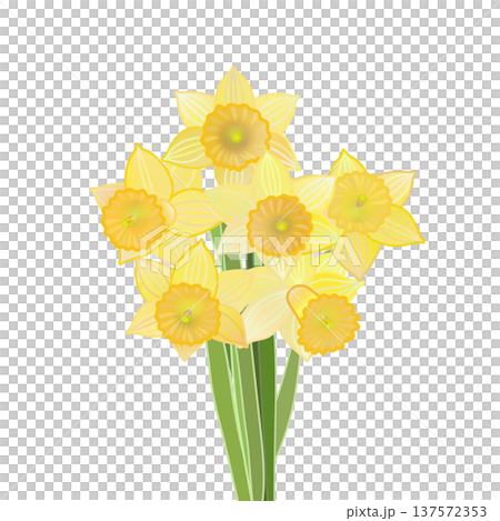 一束水仙花的插圖 137572353