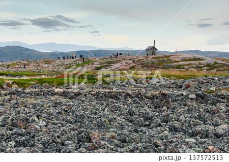 the coast of the Barents Sea at sunset, the rocky shore with colourful arctic carpet of moss, yagel, Tundra at autumn, Russia, Murmansk region 137572513