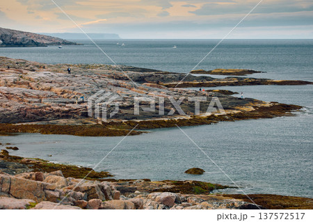 the coast of the Barents Sea at sunset, the rocky shore with colourful arctic carpet of moss, yagel, Tundra at autumn, Russia, Murmansk region the coast of the Barents Sea at sunset, the rocky shore with colourful arctic carpet of moss, yagel, Tundra at autumn, Russia, Murmansk region 137572517
