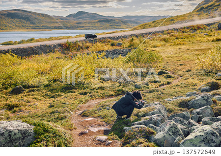 a girl is sitting and taking a photo of berries among the stones at sunny day, a car on the road in the background, the coast of the Barents Sea, colourful arctic carpet of moss, yagel a girl is sitting and taking a photo of berries among the stones at sunny day, a car on the road in the background, the coast of the Barents Sea, colourful arctic carpet of moss, yagel 137572649