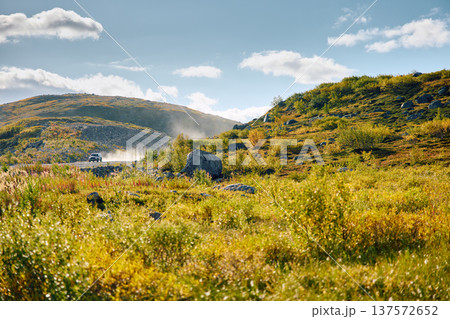 a car on the road in the background, the coast of the Barents Sea, colourful arctic carpet of moss, yagel, moss, mountain, Murmansk region, Russia 137572652