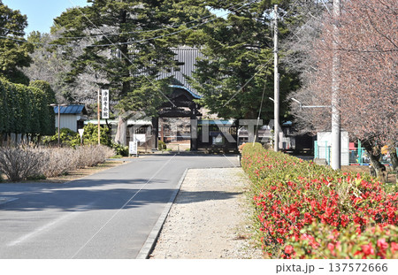 岩槻散歩:浄土宗 浄国寺 関東十八檀林 岩槻散歩:浄土宗 浄国寺 関東十八檀林 137572666