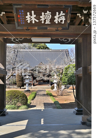 岩槻散歩:浄土宗 浄国寺 関東十八檀林 岩槻散歩:浄土宗 浄国寺 関東十八檀林 137572669