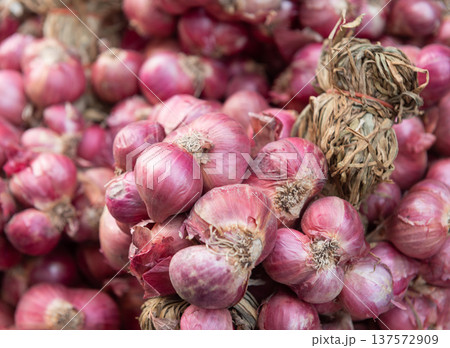 Close up of fresh organic shallots in local market 137572909