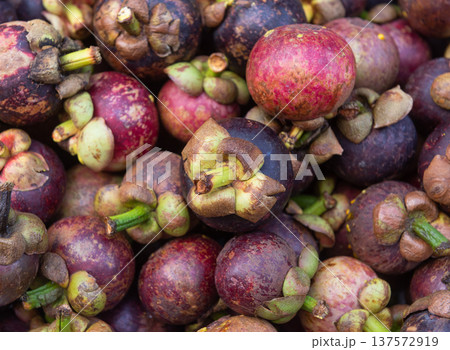 Fresh organic mangosteens queen of fruits in local market 137572919