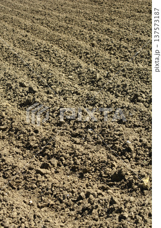 Tilled Soil Close-up Tilled Soil Close-up 137573187