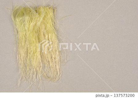Corn Silk on Gray Background Corn Silk on Gray Background 137573200