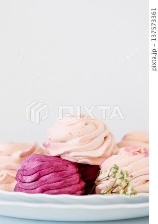 blackcurrant and apple zephyr on white plate blackcurrant and apple zephyr on white plate 137573361