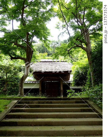 山門 鎌倉 山門 鎌倉 137573574