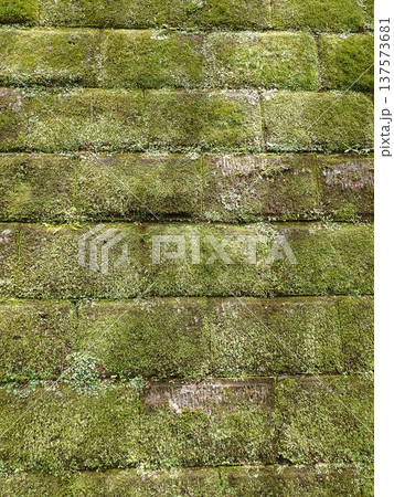 苔むした石垣　鎌倉 137573681