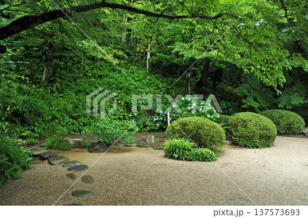 松江市　塩見縄手の武家屋敷の庭園 137573693