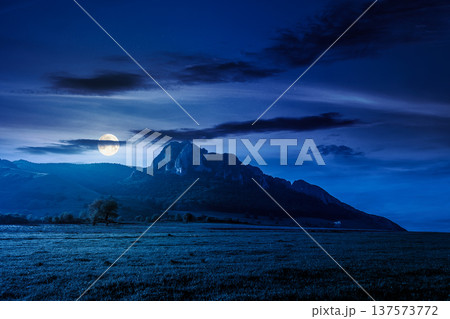 rock formation near green field at night. full moon over mysterious rural landscape in mountains. wonderful scenery lush grass in spring. clouds on the sky. alpine countryside outdoor adventure rock formation near green field at night. full moon over mysterious rural landscape in mountains. wonderful scenery lush grass in spring. clouds on the sky. alpine countryside outdoor adventure 137573772