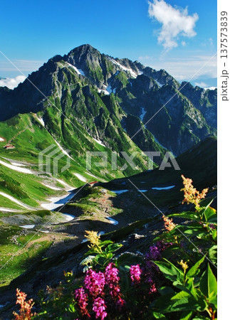 夏の立山アルパイン縦走 夏の立山アルパイン縦走 137573839