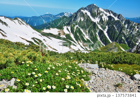 夏の立山アルパイン縦走　 137573841