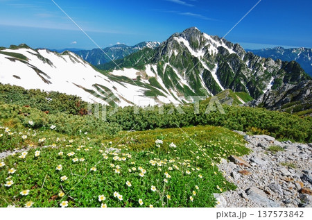 夏の立山アルパイン縦走 夏の立山アルパイン縦走 137573842