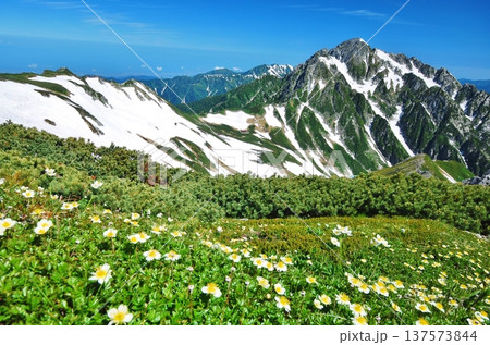 夏の立山アルパイン縦走 夏の立山アルパイン縦走 137573844