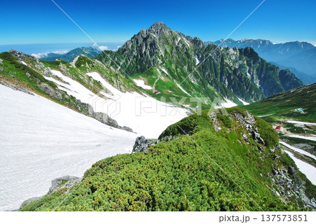 夏の立山アルパイン縦走 夏の立山アルパイン縦走 137573851