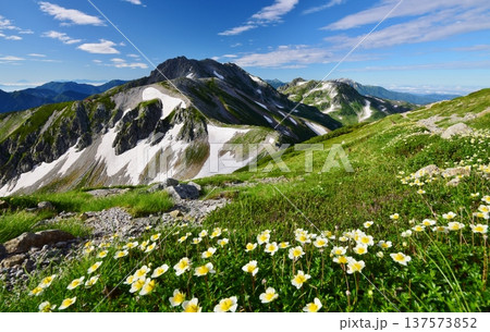 夏の立山アルパイン縦走 夏の立山アルパイン縦走 137573852