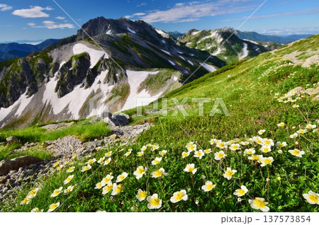 夏の立山アルパイン縦走 夏の立山アルパイン縦走 137573854