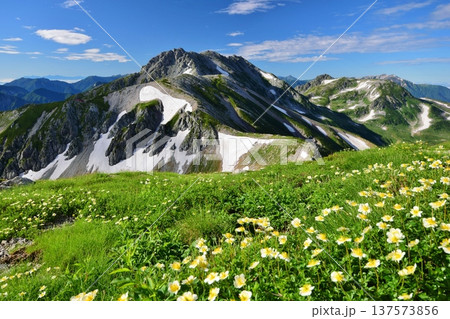 夏の立山アルパイン縦走 夏の立山アルパイン縦走 137573856