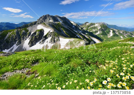 夏の立山アルパイン縦走 夏の立山アルパイン縦走 137573858