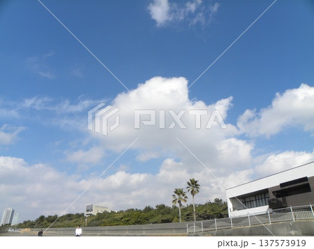 検見川派で青空と白い雲 検見川派で青空と白い雲 137573919