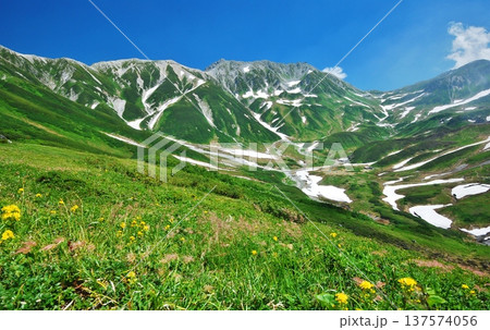 チングルマの花咲く夏の立山連峰 チングルマの花咲く夏の立山連峰 137574056