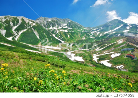 チングルマの花咲く夏の立山連峰 チングルマの花咲く夏の立山連峰 137574059