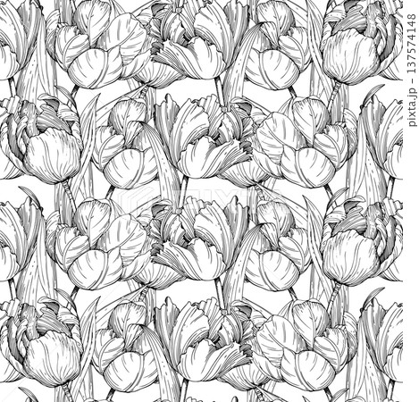 Seamless pattern of the tulips. Handmade ink vector illustration of tulip. For design of cards, cover, prints, product labels and fabric. Seamless pattern of the tulips. Handmade ink vector illustration of tulip. For design of cards, cover, prints, product labels and fabric. 137574148