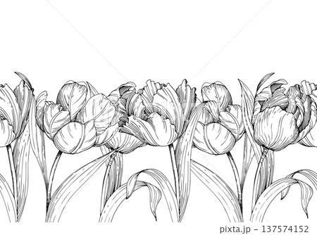 Seamless border of tulips. Handmade ink vector illustration of tulip. For design of cards, cover, prints, product labels and fabric. Seamless border of tulips. Handmade ink vector illustration of tulip. For design of cards, cover, prints, product labels and fabric. 137574152