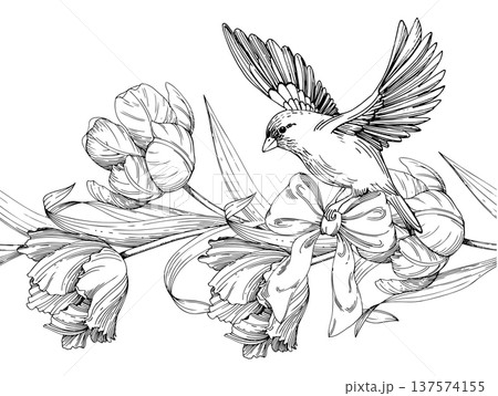 Seamless border of tulips and bird with bow. Handmade ink vector illustration of tulip. For design of cards, cover, prints, product labels and fabric. 137574155