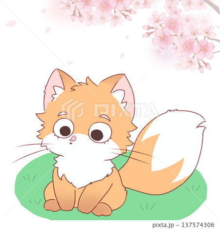 花びらが鼻に乗ったキツネ 花びらが鼻に乗ったキツネ 137574306