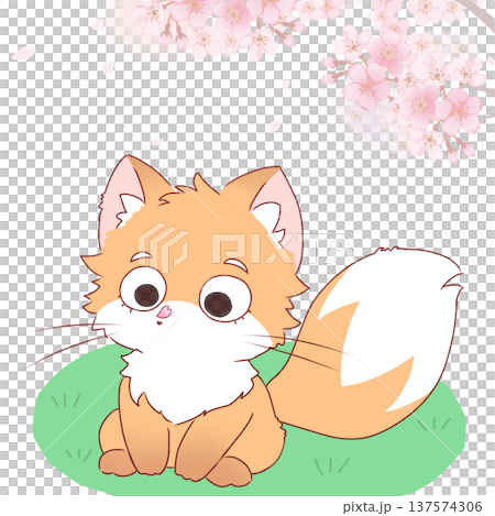 花びらが鼻に乗ったキツネ 花びらが鼻に乗ったキツネ 137574306